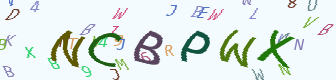 验证码
